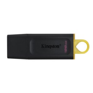 KINGSTON DATATRAVELER DTX/128GB