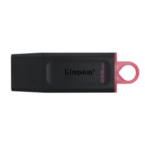 KINGSTON DATATRAVELER DTX/256GB